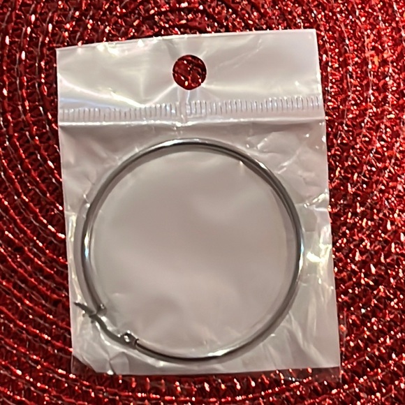Stainless Steel Hoops Nwt - Picture 1 of 2